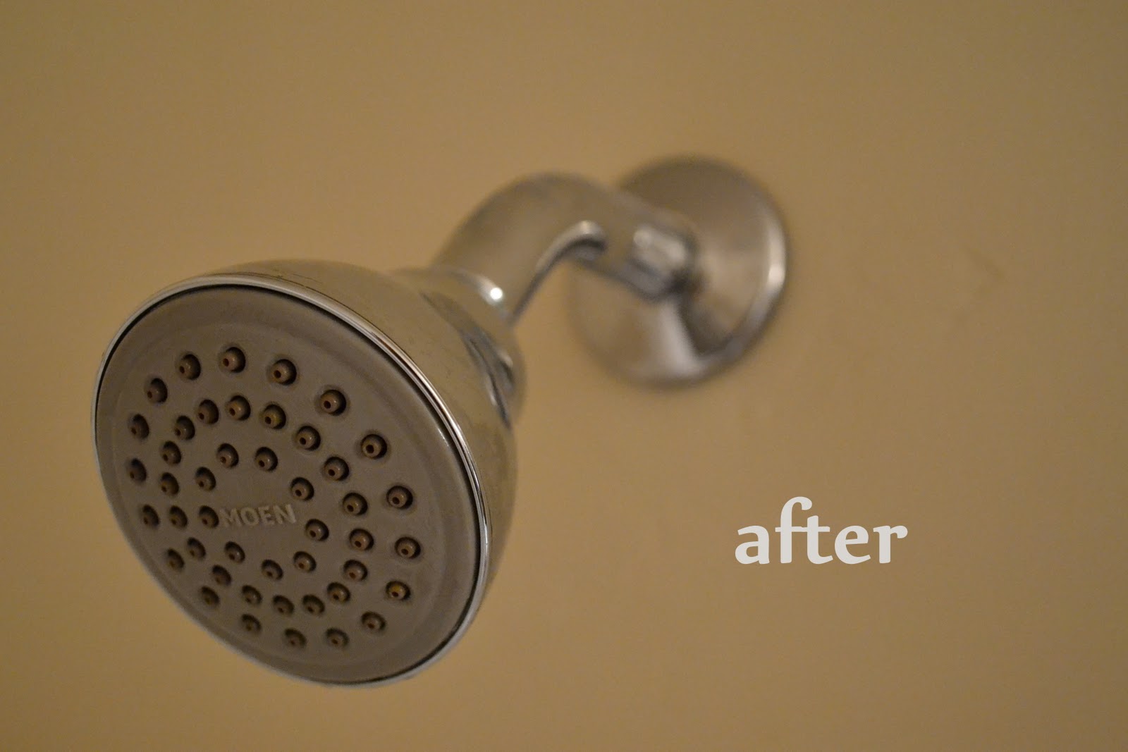Having Trouble Cleaning Your Shower Head Not Anymore Due To This