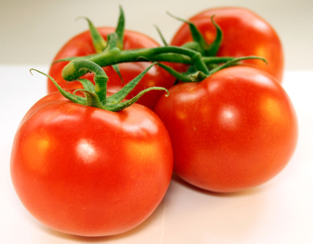 He puts 4 tomato slices in a pot with soil and the result 10 days later ...