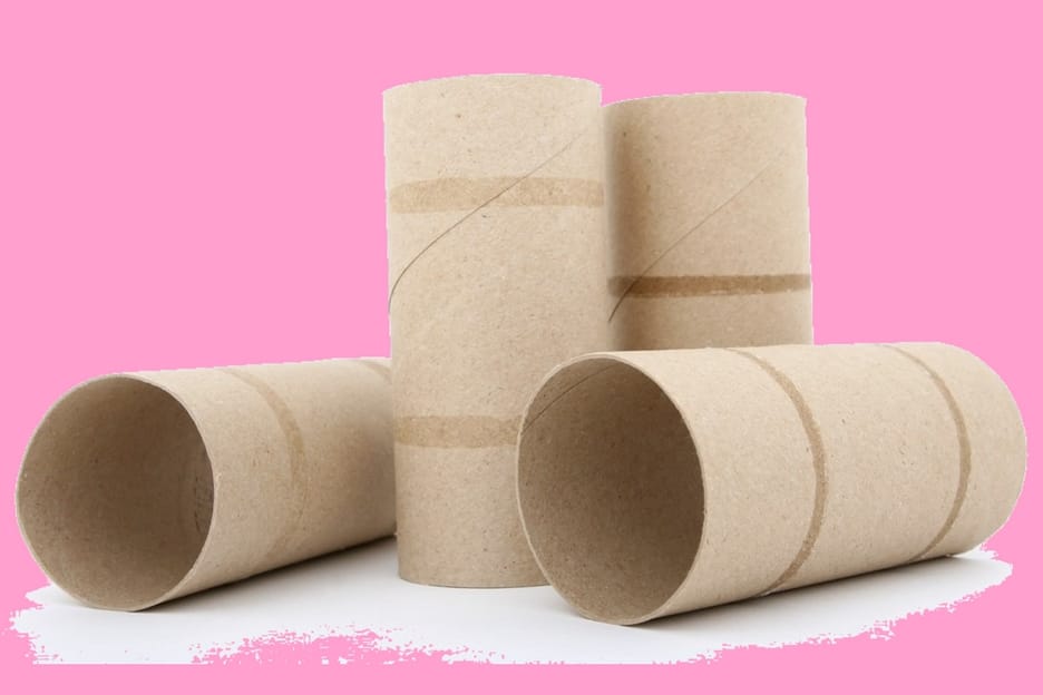 got-empty-toilet-paper-rolls-lying-around-apparently-you-can-make